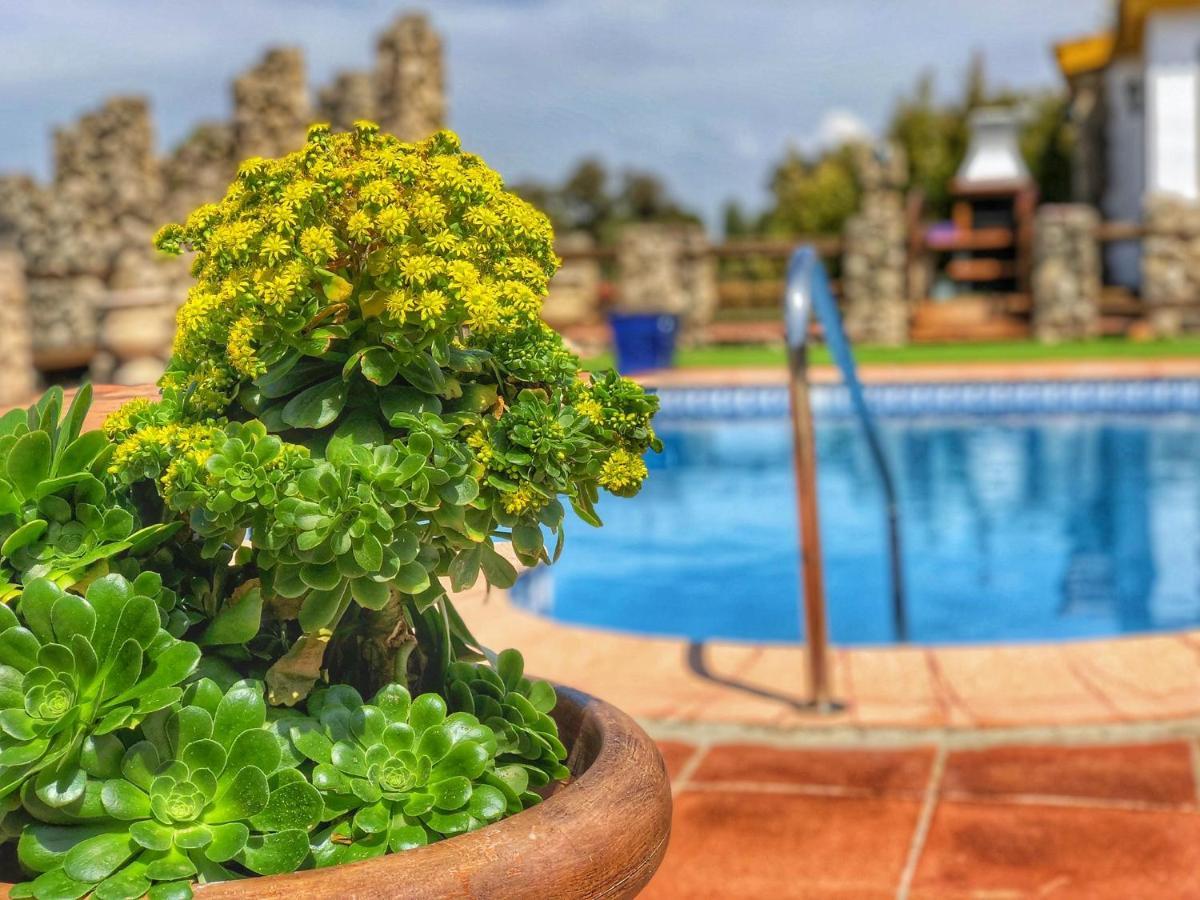 Villa Jarandalus El Gastor Esterno foto