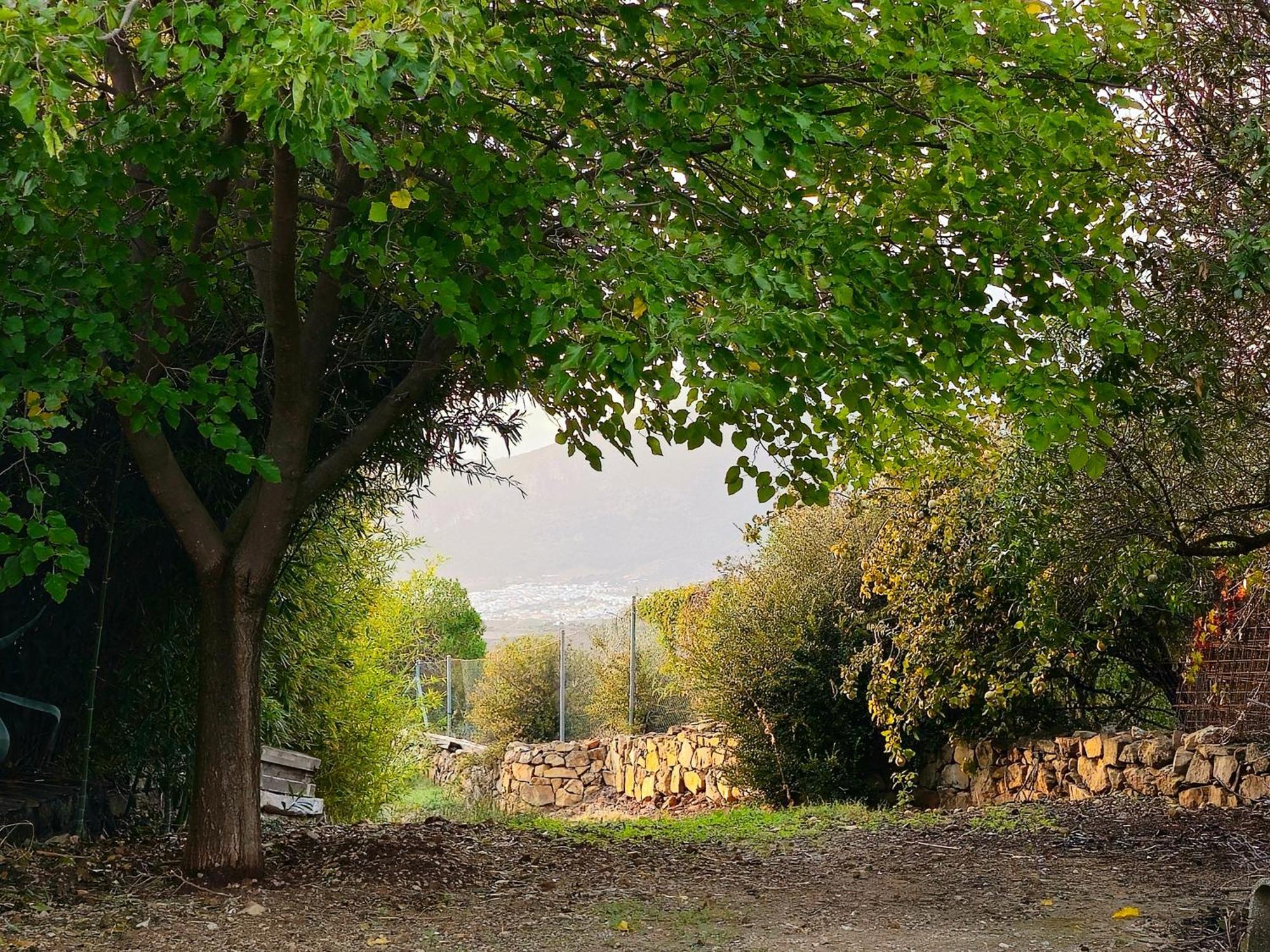 Villa Jarandalus El Gastor Esterno foto